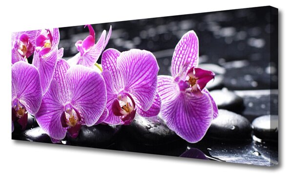 Tablou pe panza canvas Pietre florale flori violet negru