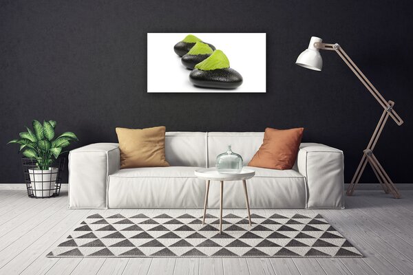 Tablou pe panza canvas Pietrele Arta Negru Verde Alb