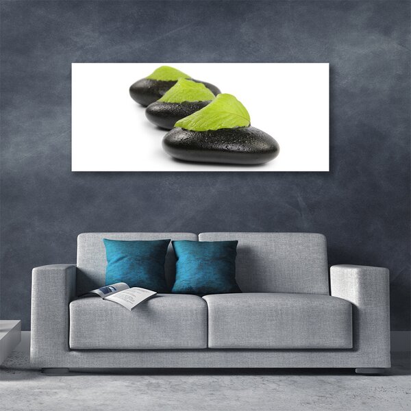 Tablou pe panza canvas Pietrele Arta Negru Verde Alb