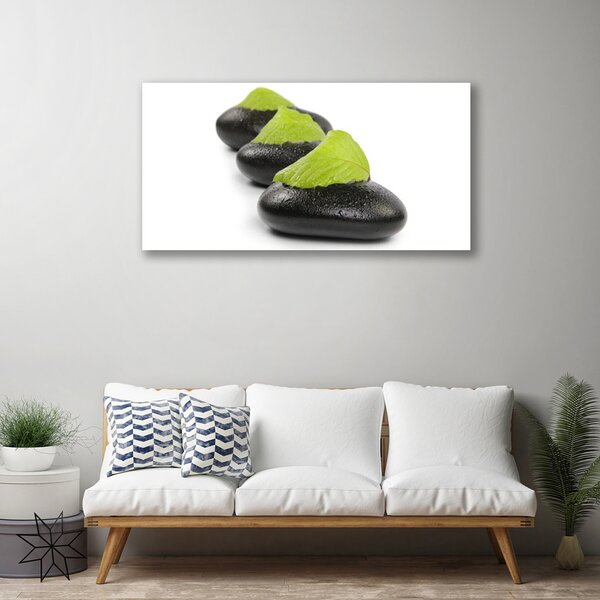 Tablou pe panza canvas Pietrele Arta Negru Verde Alb