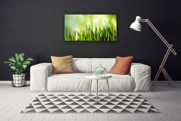 Tablou pe panza canvas Iarbă Natura verde