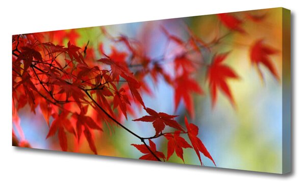 Tablou pe panza canvas Frunze Natura Red
