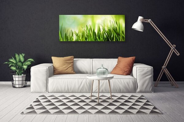 Tablou pe panza canvas Iarbă Natura verde