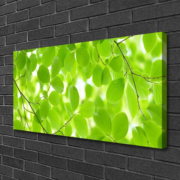 Tablou pe panza canvas Frunze Natura verde