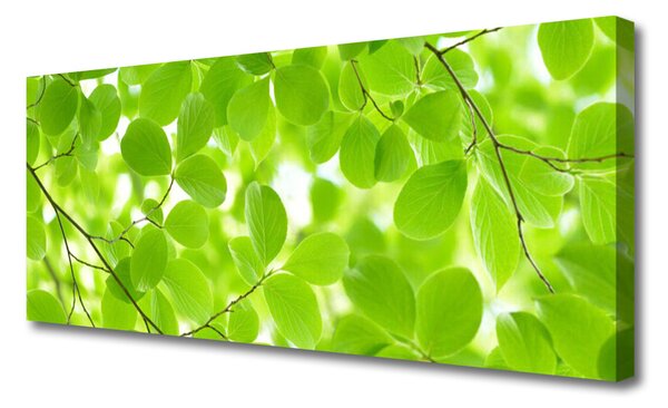 Tablou pe panza canvas Frunze Natura verde