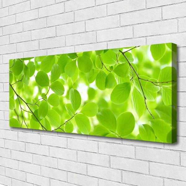 Tablou pe panza canvas Frunze Natura verde