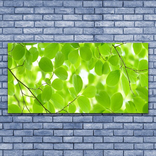 Tablou pe panza canvas Frunze Natura verde