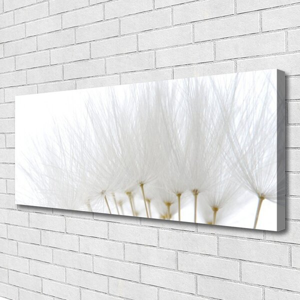 Tablou pe panza canvas Flori Floral alb