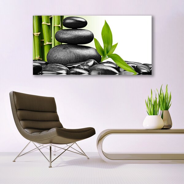 Tablou pe panza canvas Pietre Frunze Arta Negru Verde