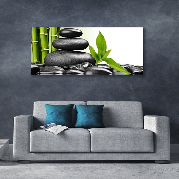 Tablou pe panza canvas Pietre Frunze Arta Negru Verde