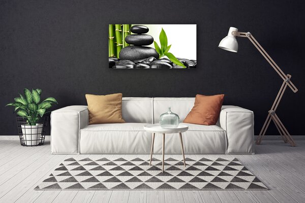 Tablou pe panza canvas Pietre Frunze Arta Negru Verde
