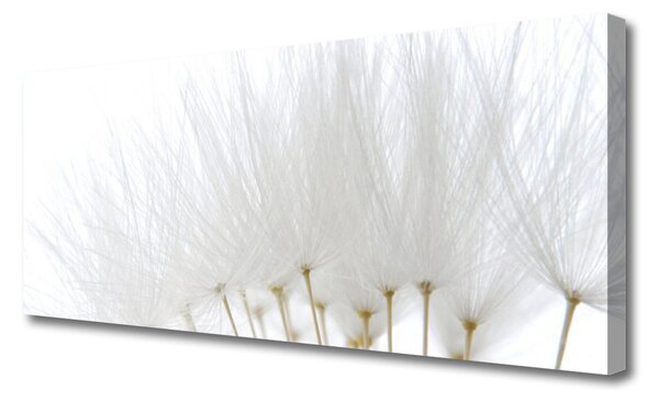 Tablou pe panza canvas Flori Floral alb