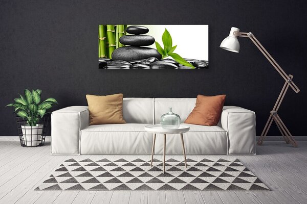 Tablou pe panza canvas Pietre Frunze Arta Negru Verde