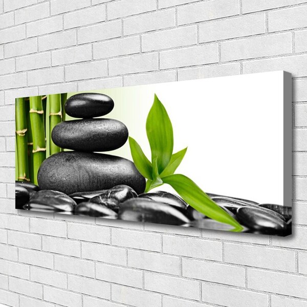 Tablou pe panza canvas Pietre Frunze Arta Negru Verde