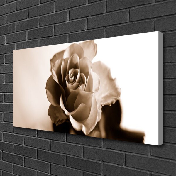 Tablou pe panza canvas Rose Floral Sepia
