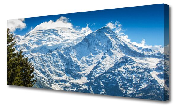 Tablou pe panza canvas Peisaj de munte copac Albastru Alb Verde