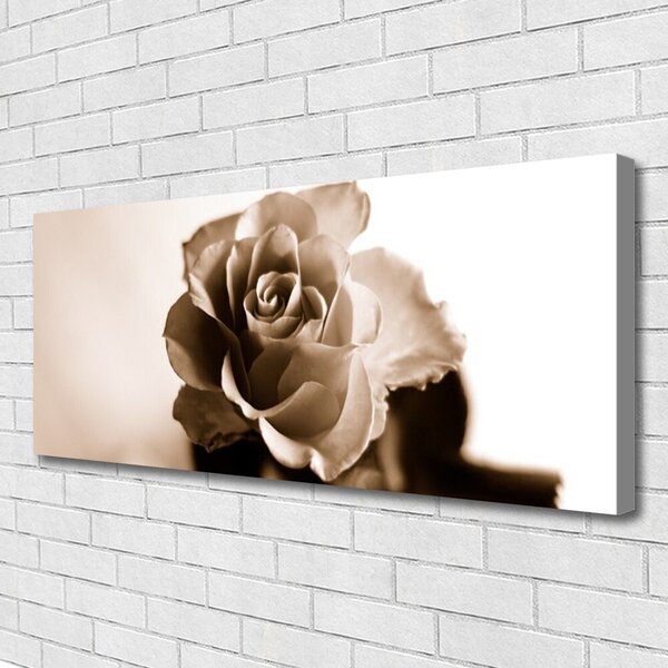 Tablou pe panza canvas Rose Floral Sepia