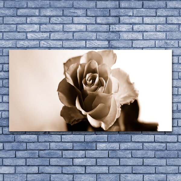 Tablou pe panza canvas Rose Floral Sepia