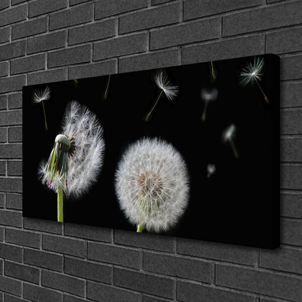 Tablou pe panza canvas Păpădie Floral Alb Negru