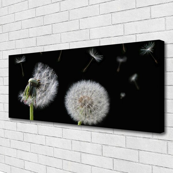 Tablou pe panza canvas Păpădie Floral Alb Negru