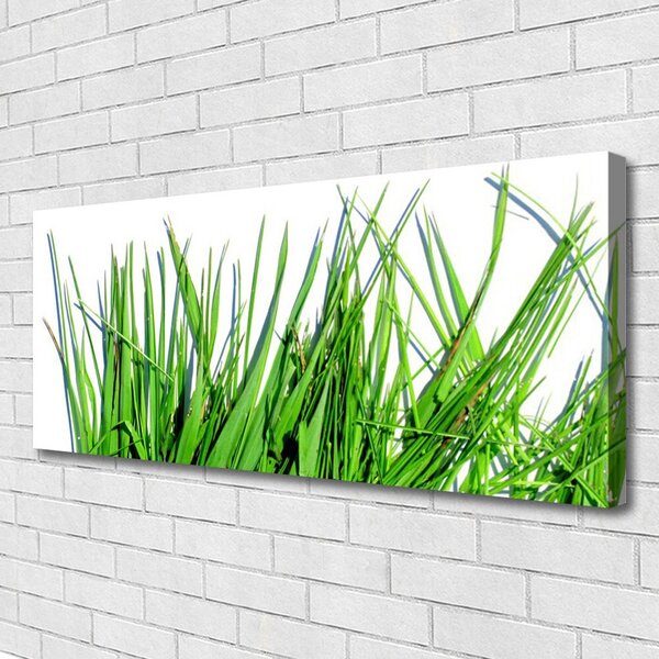 Tablou pe panza canvas Iarbă verde florale