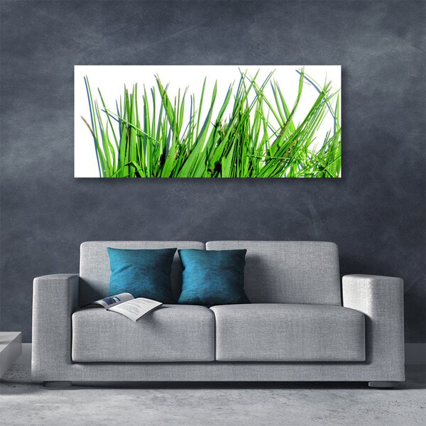 Tablou pe panza canvas Iarbă verde florale