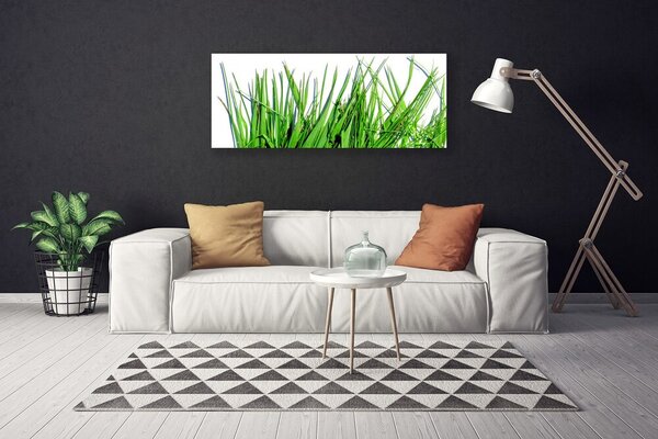 Tablou pe panza canvas Iarbă verde florale