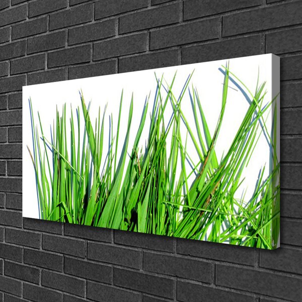 Tablou pe panza canvas Iarbă verde florale