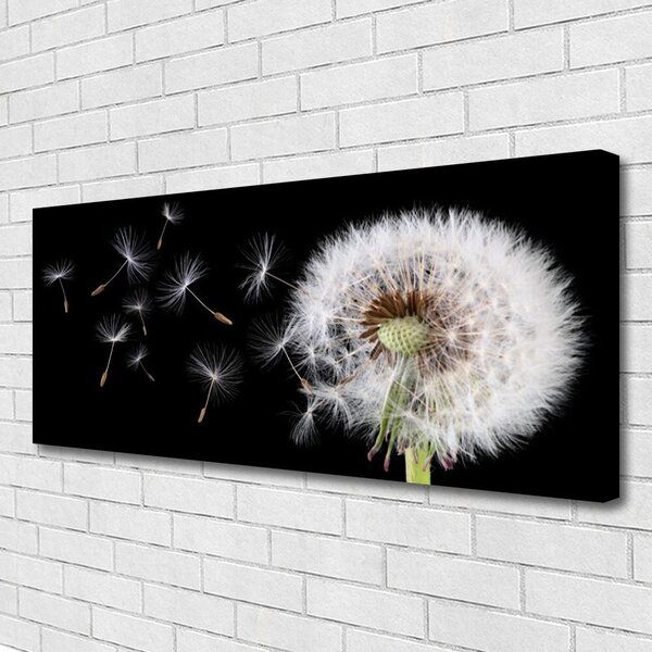 Tablou pe panza canvas Păpădie Floral Alb Negru