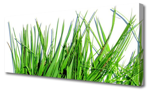 Tablou pe panza canvas Iarbă verde florale