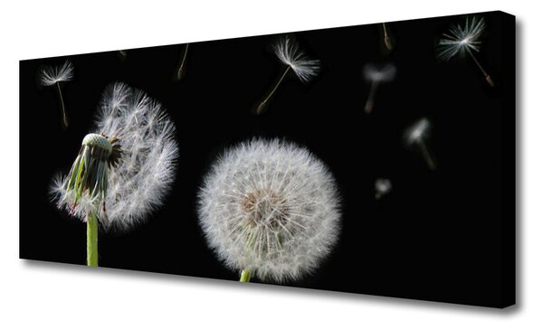 Tablou pe panza canvas Păpădie Floral Alb Negru