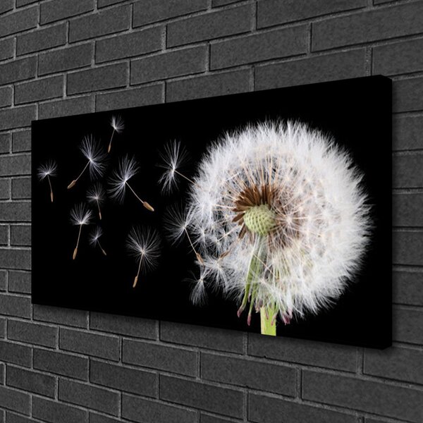 Tablou pe panza canvas Păpădie Floral Alb Negru