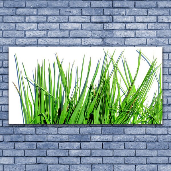 Tablou pe panza canvas Iarbă verde florale