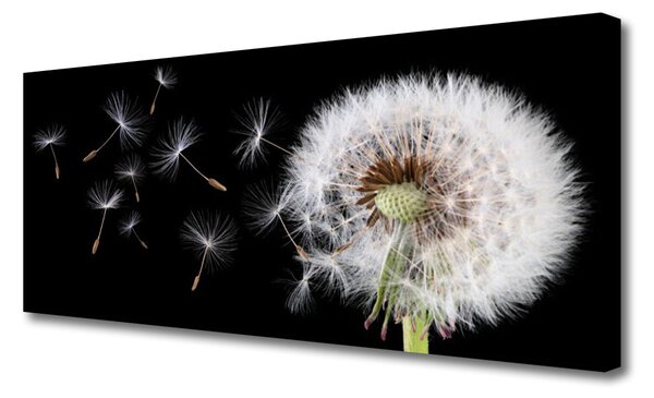 Tablou pe panza canvas Păpădie Floral Alb Negru