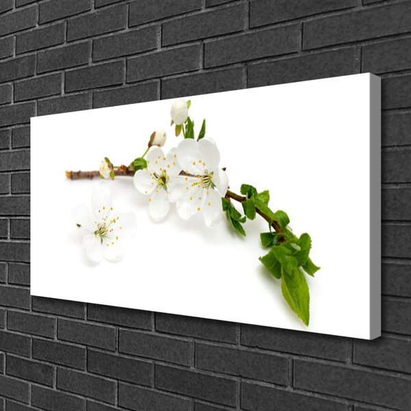 Tablou pe panza canvas Flower Branch Natura Alb Brun Verde