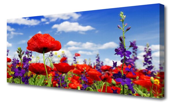 Tablou pe panza canvas Flori Natura Roșu Albastru Verde Violet
