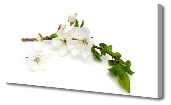 Tablou pe panza canvas Flower Branch Natura Alb Brun Verde