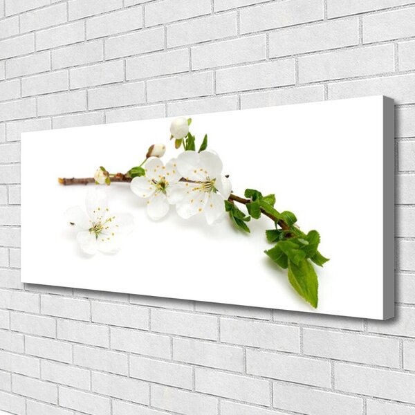 Tablou pe panza canvas Flower Branch Natura Alb Brun Verde