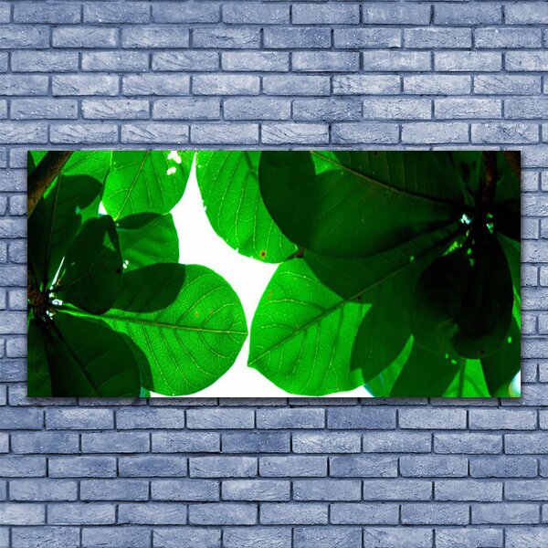 Tablou pe panza canvas Frunze verde florale
