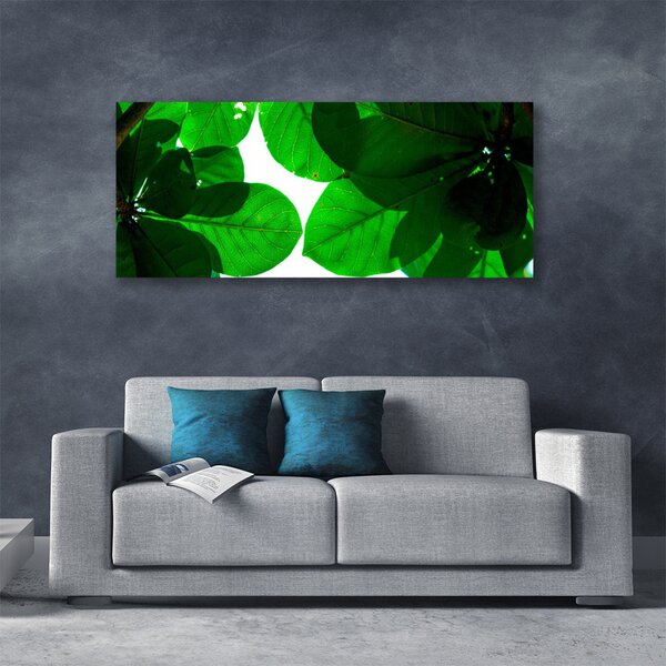 Tablou pe panza canvas Frunze verde florale