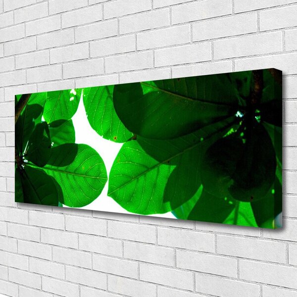 Tablou pe panza canvas Frunze verde florale