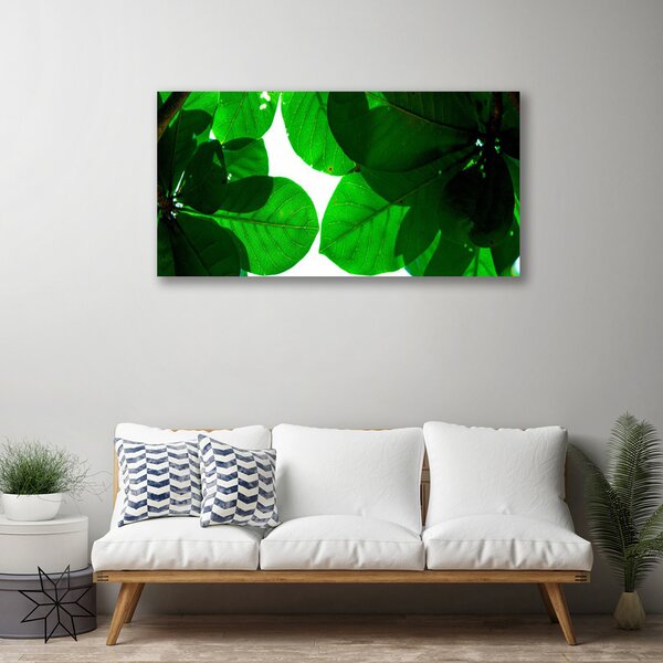 Tablou pe panza canvas Frunze verde florale