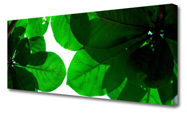 Tablou pe panza canvas Frunze verde florale