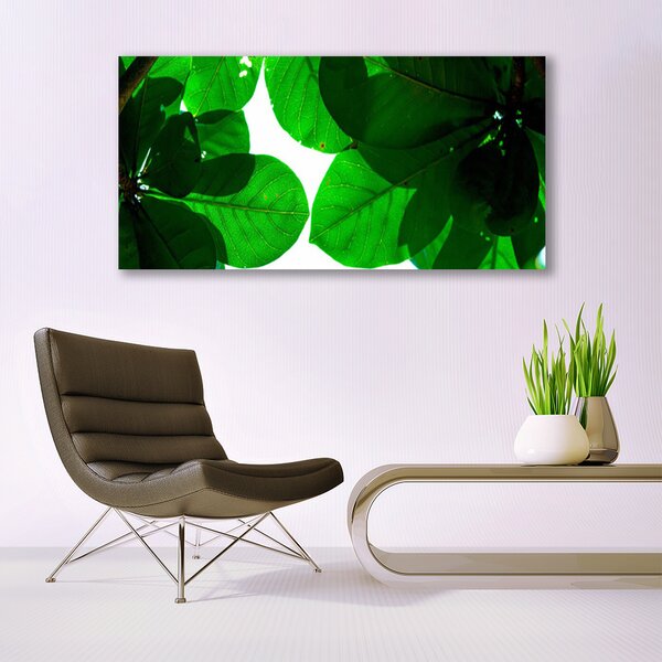 Tablou pe panza canvas Frunze verde florale