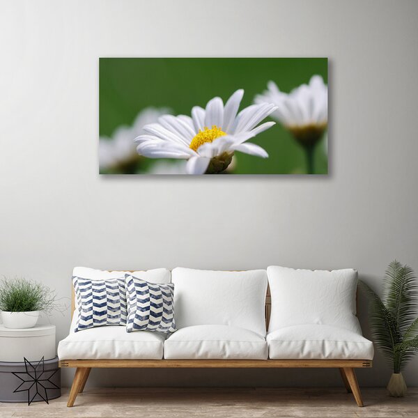 Tablou pe panza canvas Daisy Floral Alb Galben Verde