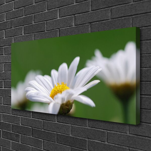 Tablou pe panza canvas Daisy Floral Alb Galben Verde