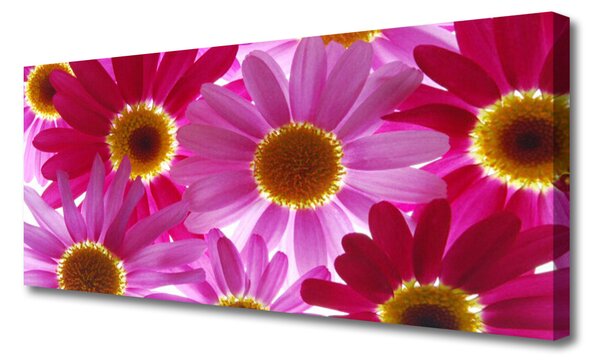 Tablou pe panza canvas Flori Floral galben roz