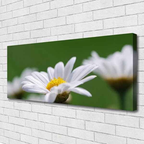 Tablou pe panza canvas Daisy Floral Alb Galben Verde