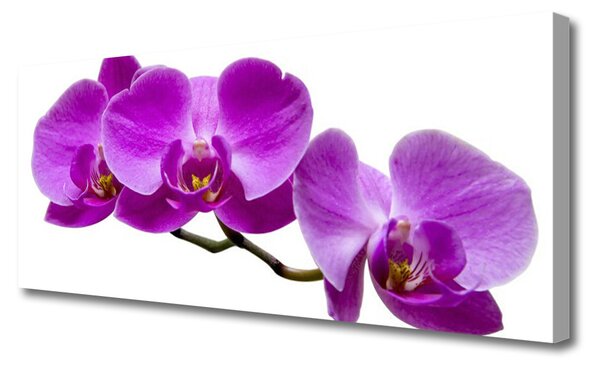 Tablou pe panza canvas Flori Floral Violet Maro