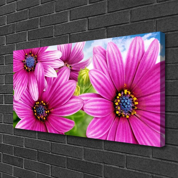 Tablou pe panza canvas Flori Floral Roz Galben Albastru
